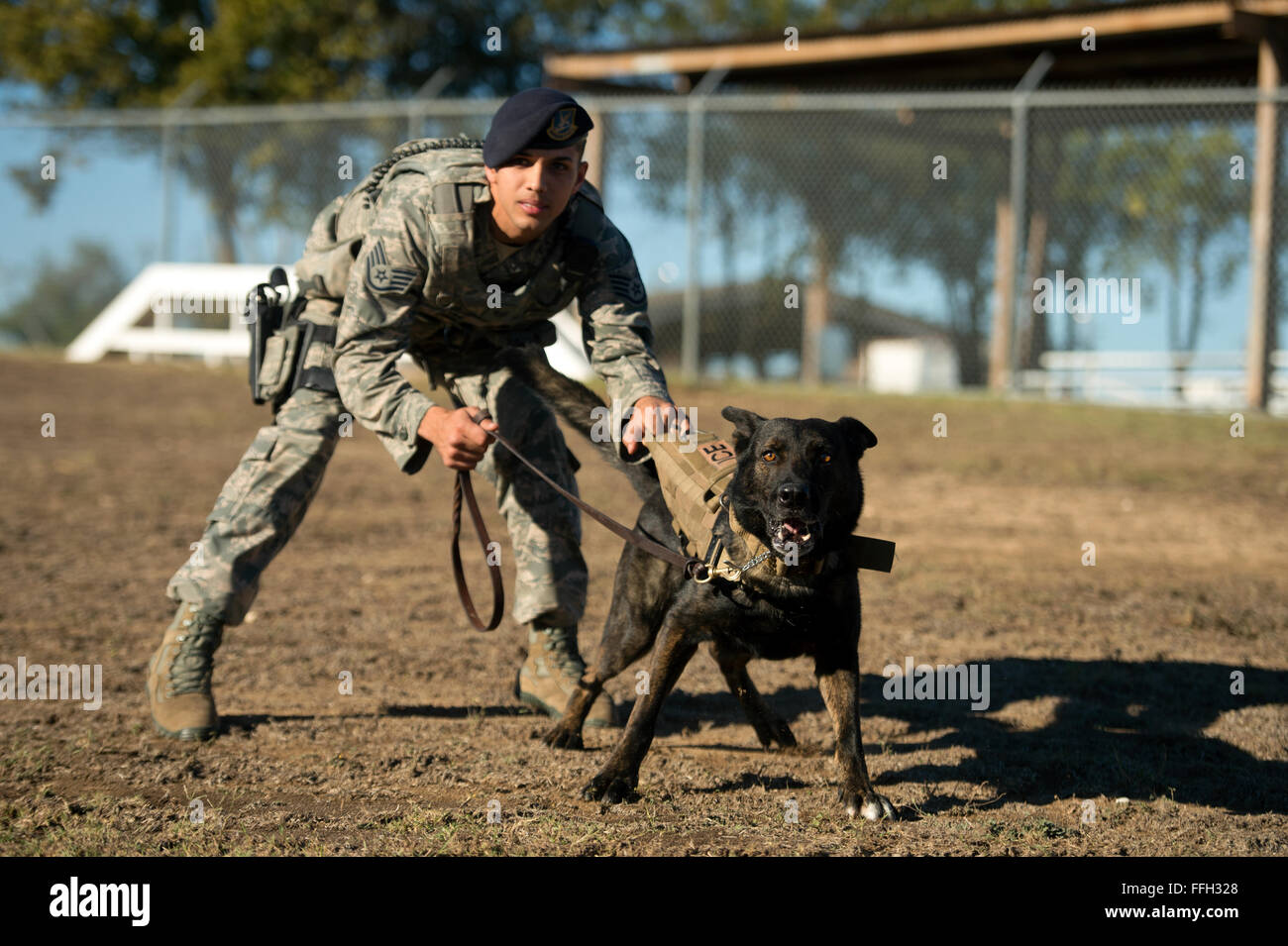 Il personale Sgt. Mark Devine, un militare di cane da lavoro dal gestore del 802nd delle forze di sicurezza Squadron, detiene JJany durante la mattinata una sessione di formazione alla base comune San Antonio-Lackland. Devine e militari di cane da lavoro gestori di eventi assegnati a JBSA-Lackland soddisfano ogni giorno particolari requisiti legali o il treno per rimanere mission-pronto. Foto Stock Il personale Sgt. Mark Devine, un militare di cane da lavoro dal gestore del 802nd delle forze di sicurezza Squadron, detiene JJany durante la mattinata una sessione di formazione alla base comune San Antonio-Lackland. Devine e militari di cane da lavoro gestori di eventi assegnati a JBSA-Lackland soddisfano ogni giorno particolari requisiti legali o il treno per rimanere mission-pronto. Foto Stock