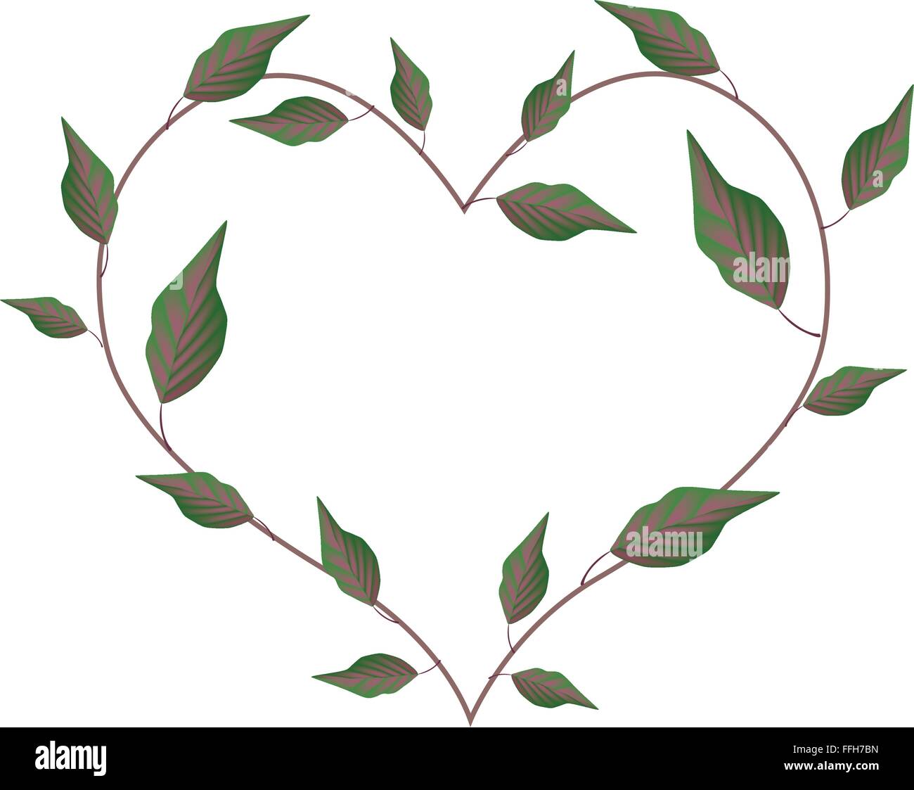 Il concetto di amore, illustrazione della forma di cuore ghirlanda fatta di verde di foglie di vite isolati su sfondo bianco. Illustrazione Vettoriale