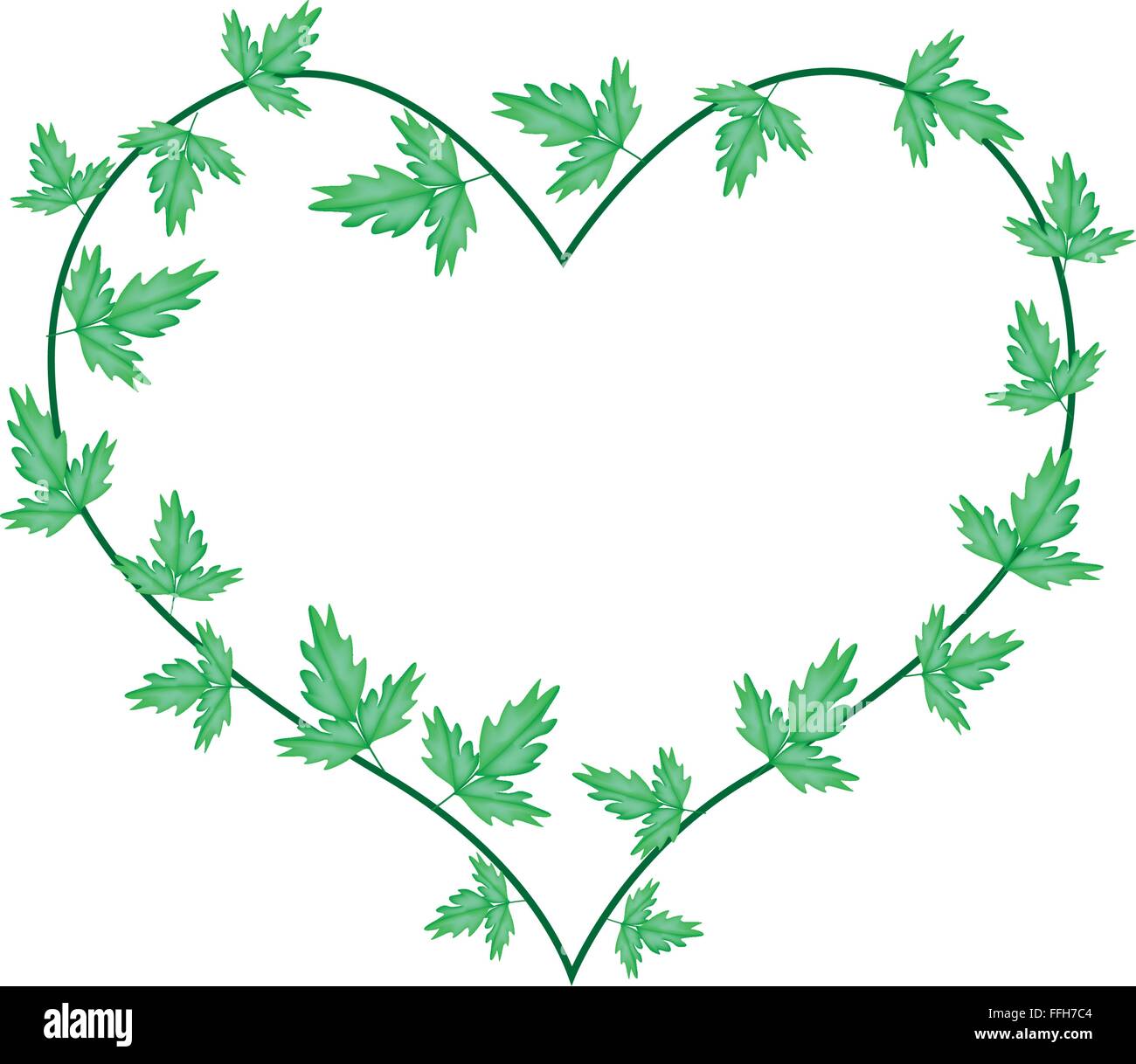 Il concetto di amore, illustrazione della forma di cuore cornice fatta di vite Verde foglie d'Edera isolato su uno sfondo bianco. Illustrazione Vettoriale