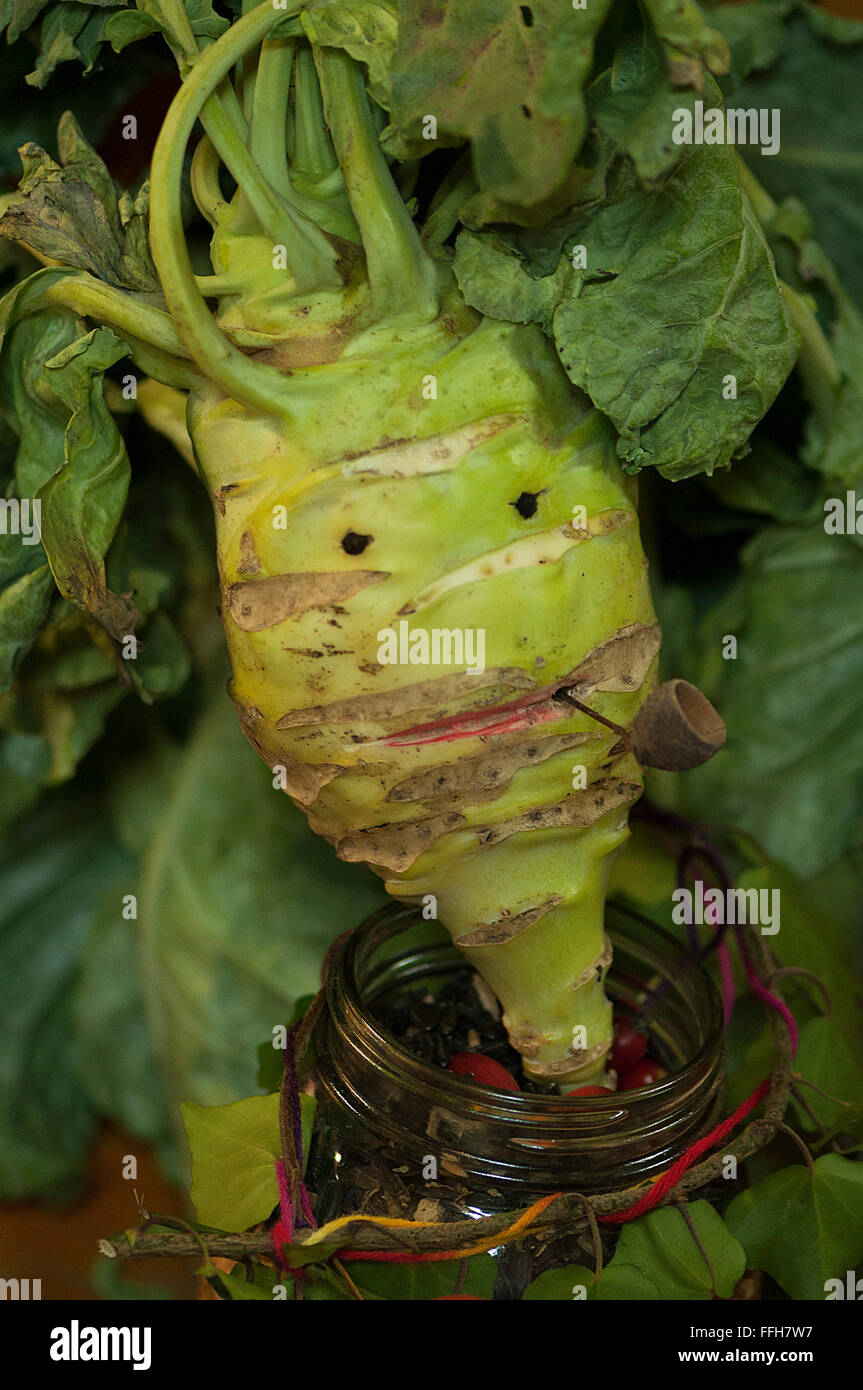 La rapa francese con un divertente volto. Faccia di vegetali Foto Stock