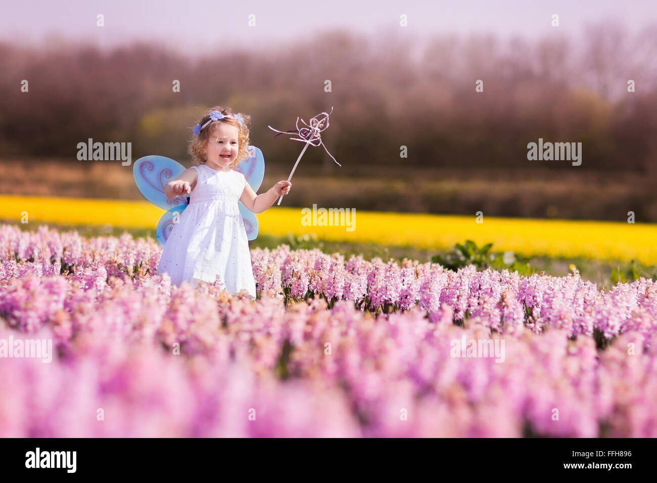 Carino curly bambina nella corona di fiori e di costume fata con ali e bacchetta magica per giocare nel campo di giacinto in Olanda. Foto Stock