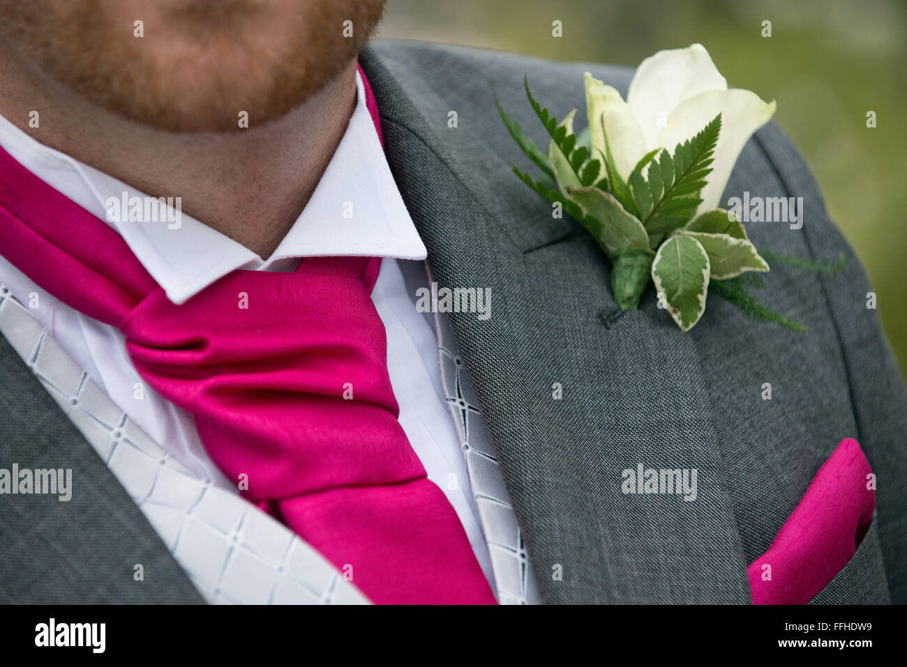 Un close-up di uno sposo, indossando grigio abito di mattina con una seta rossa cravat, fazzoletto & una rosa bianca ad occhiello Foto Stock