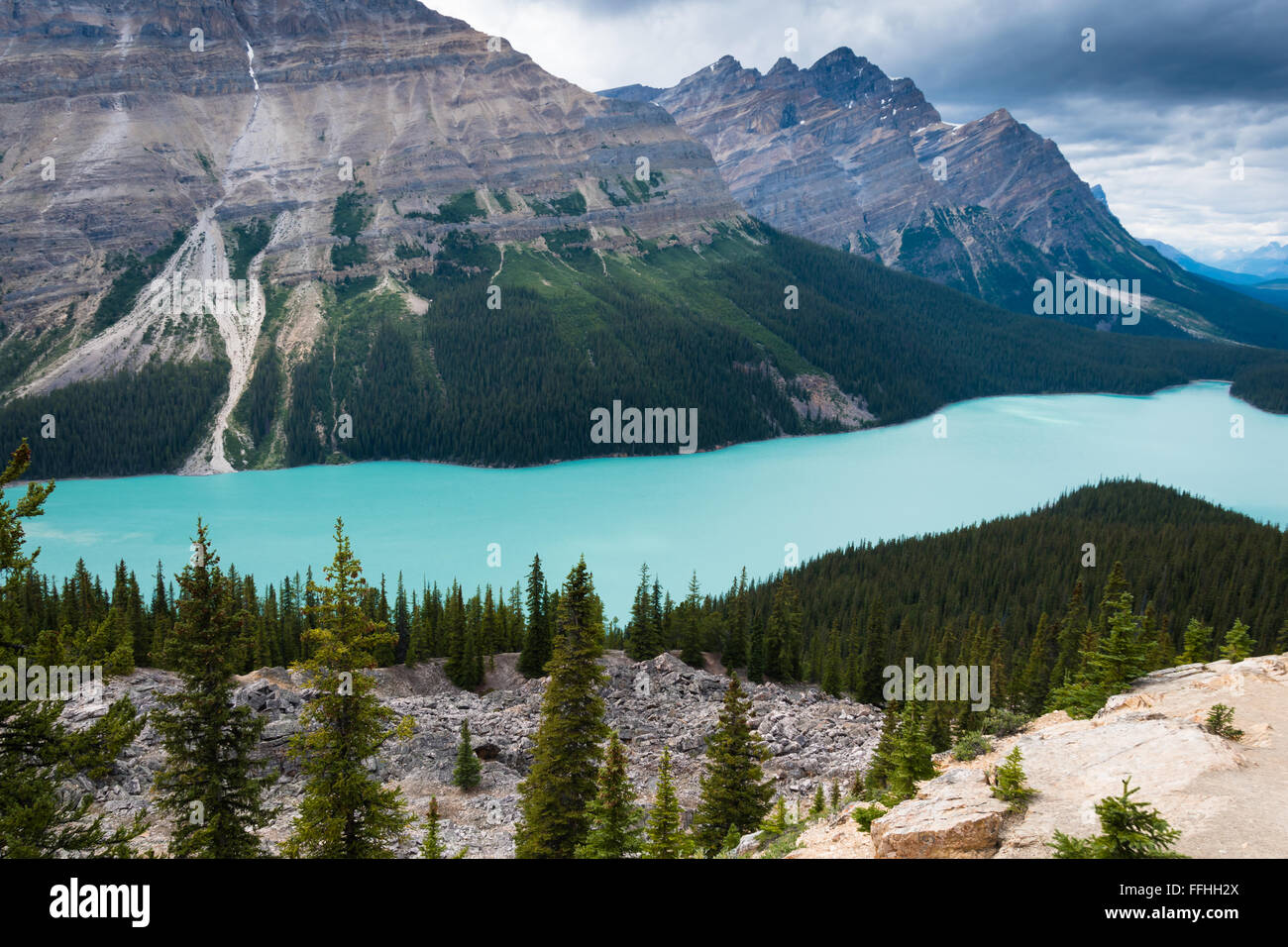 Vista aerea di Peyto Lake, il Parco Nazionale di Banff Foto Stock