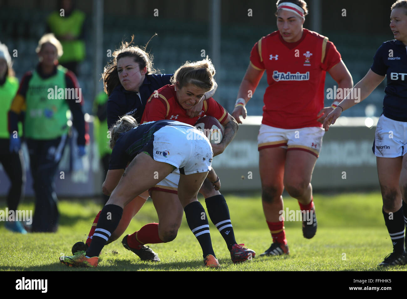 Gnoll, Wales, Regno Unito. Xiv Feb, 2016 v Galles Scozia - Donne RBS 6 Nazioni 2016 - Adi Taviner del Galles è affrontato Foto Stock