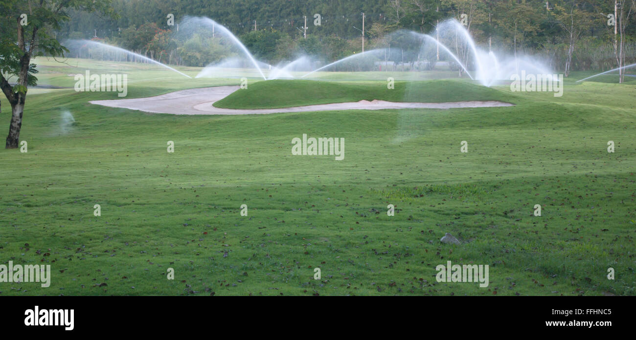 In irrigazione campo da golf erba verde, alberi, natura. Foto Stock
