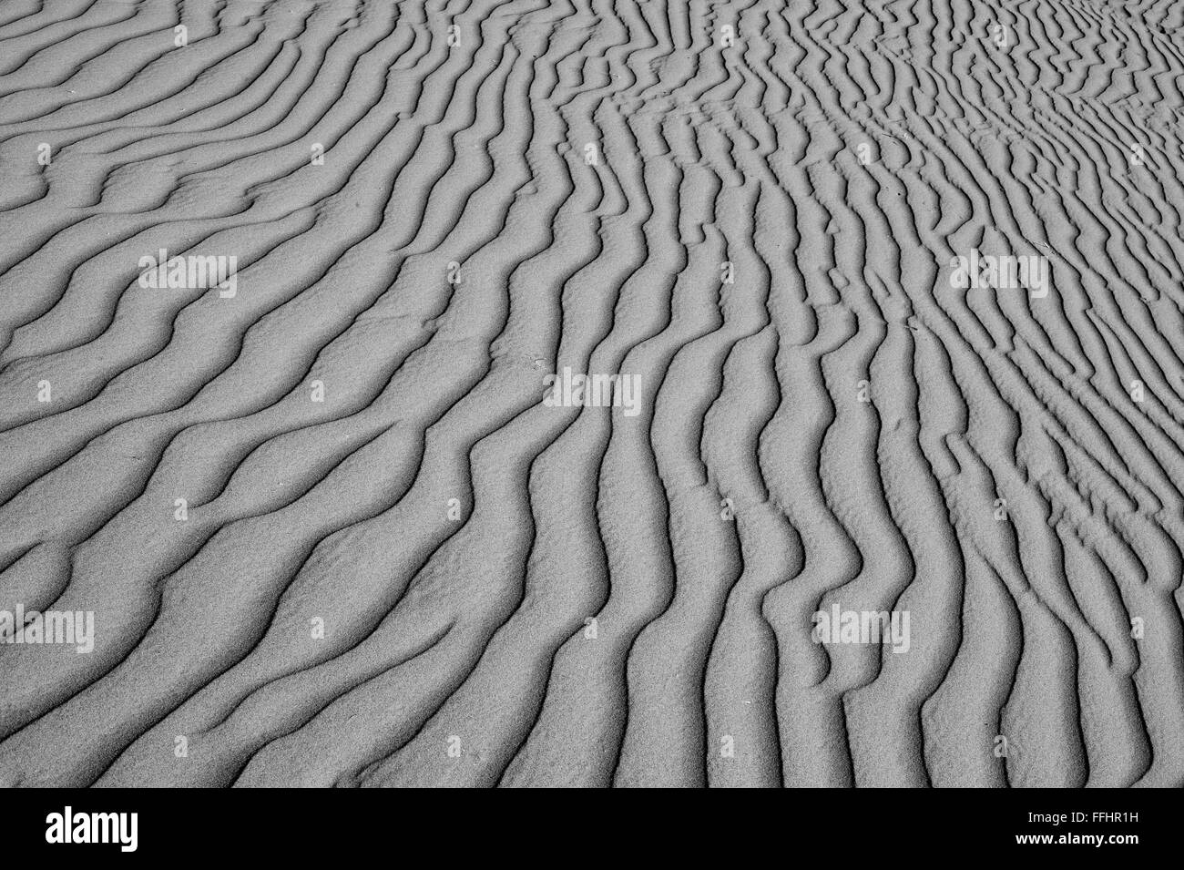 La sabbia del deserto del Sahara in Marocco vicino a Mhamid Foto Stock