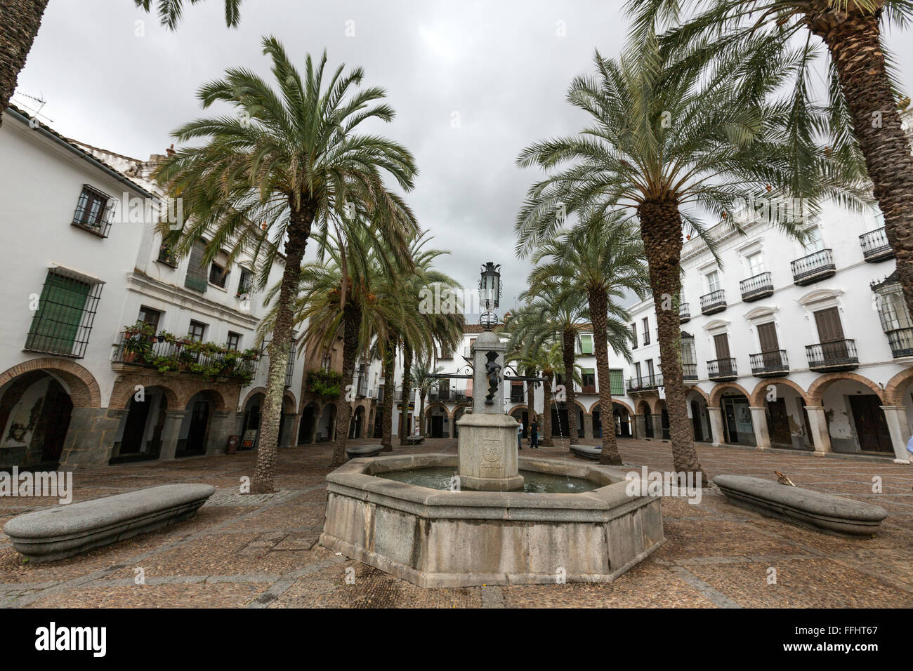 Fontana e le palme in Plaza Grande, Zafra, Estremadura, Spagna Foto Stock