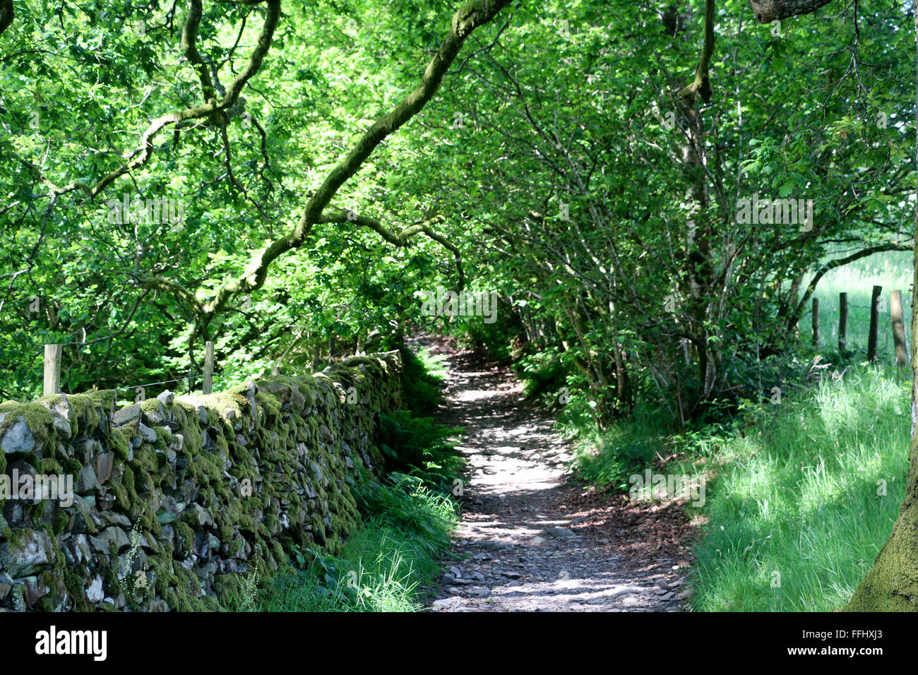 Vicolo del paese, Hawkshead, Lake District, Cumbria, Inghilterra Foto Stock