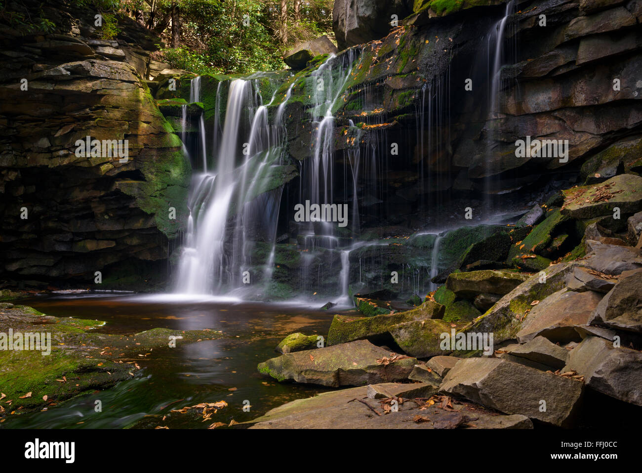 Elakala cade su Shays Run, Blackwater Falls State Park David West Virginia. Foto Stock