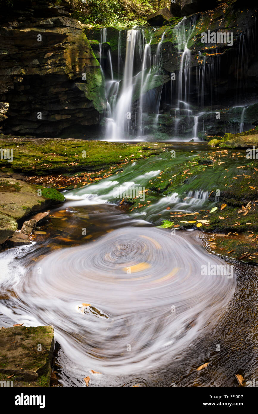 Elakala cade su Shays Run, Blackwater Falls State Park David West Virginia. Foto Stock
