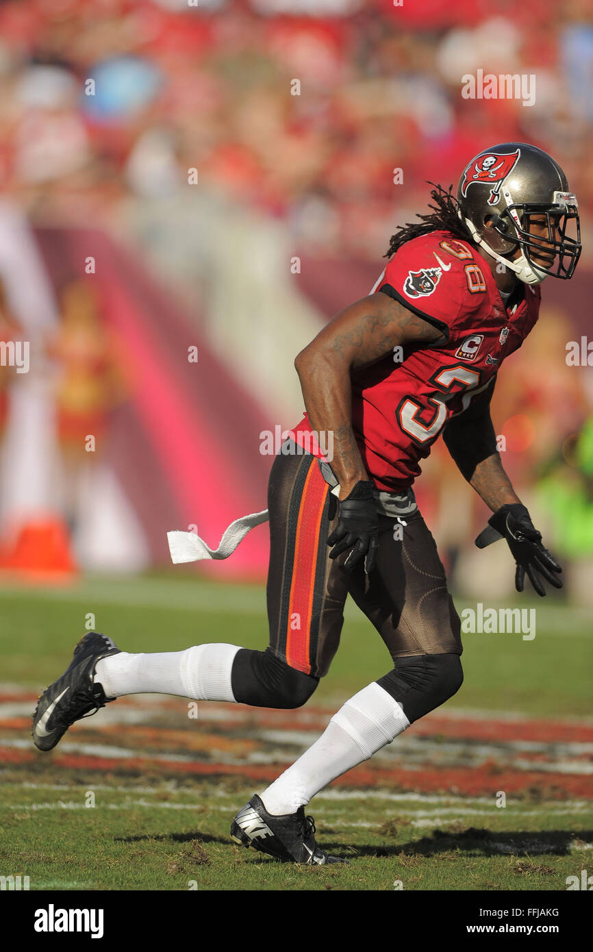 Tampa, FL, Stati Uniti d'America. 17 Nov, 2013. Tampa Bay Buccaneers libero di sicurezza Dashon Goldson (38) durante il Bucs 41-28 conquistare il aAtlanta falchi al Raymond James Stadium su nov. 17, 2013 a Tampa, in Florida. ZUMA PREMERE/ Scott A. Miller © Scott A. Miller/ZUMA filo/Alamy Live News Foto Stock