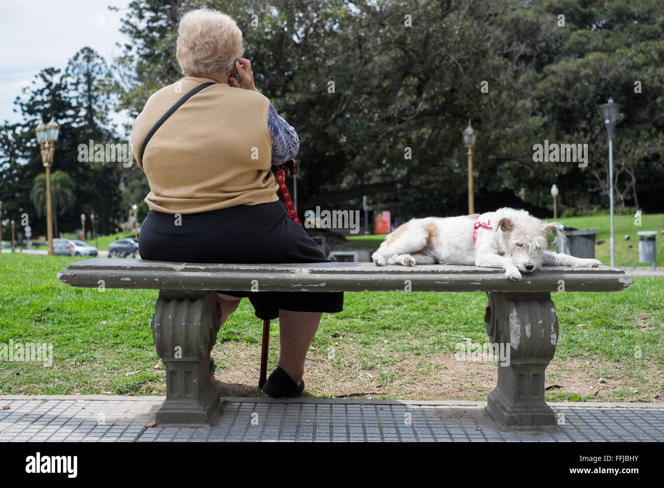 Immagini del cane in Buenos Aires 2015 (Philipp Hympendahl) Foto Stock