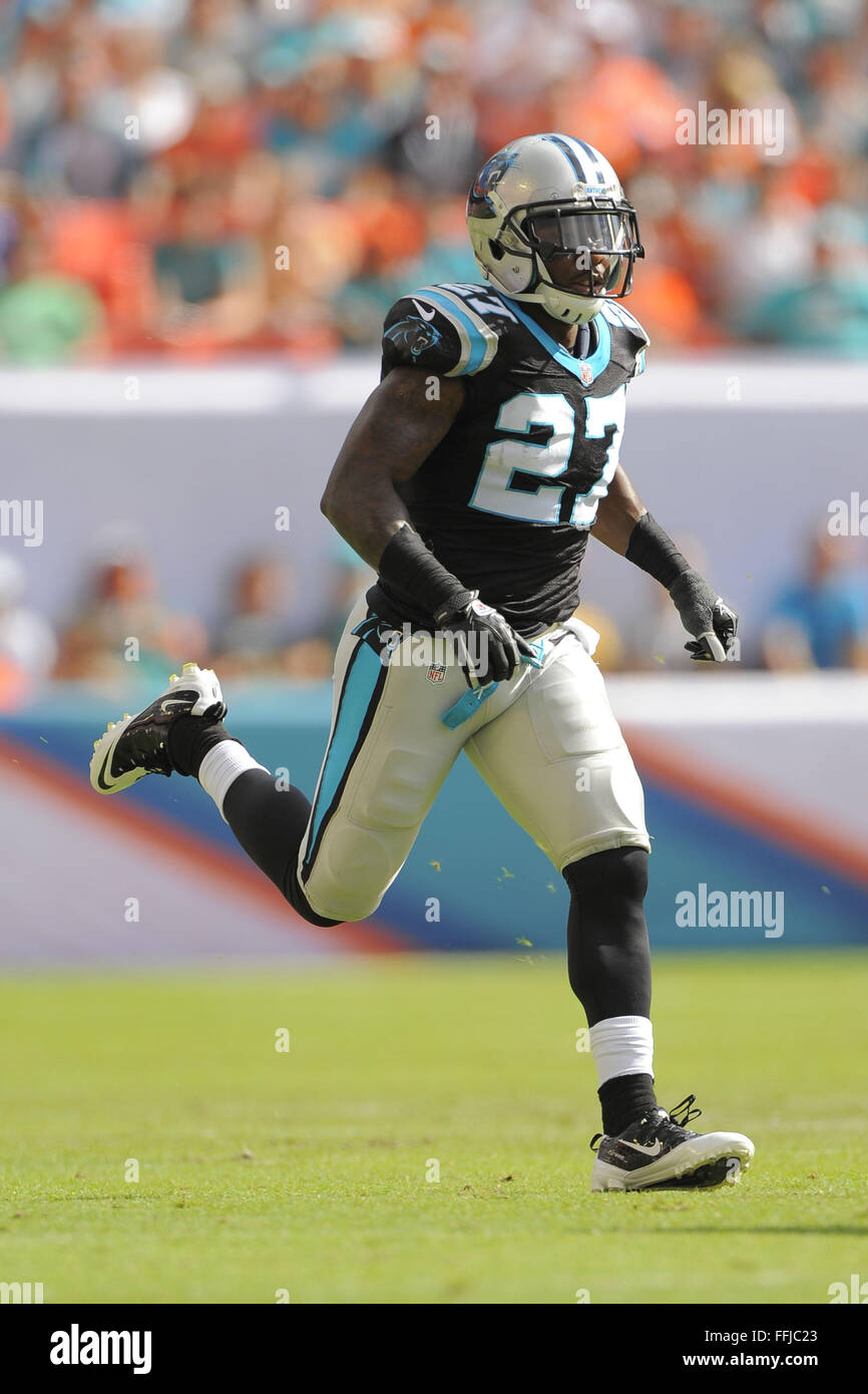 Giardini di Miami, FL, Stati Uniti d'America. 24 Novembre, 2013. Carolina Panthers sicurezza forte Quintin Mikell (27) durante le pantere partita contro i delfini di Miami a SunLife Stadium su nov. 24, 2013 nei giardini di Miami, Florida. ZUMA PREMERE/ Scott A. Miller © Scott A. Miller/ZUMA filo/Alamy Live News Foto Stock