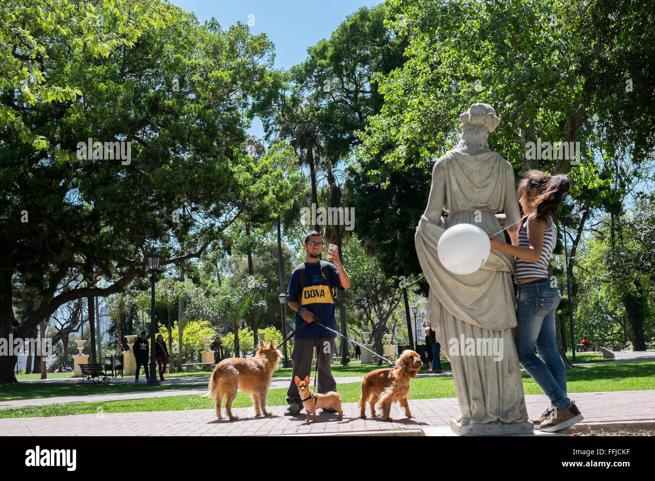Immagini del cane in Buenos Aires 2015 (Philipp Hympendahl) Foto Stock