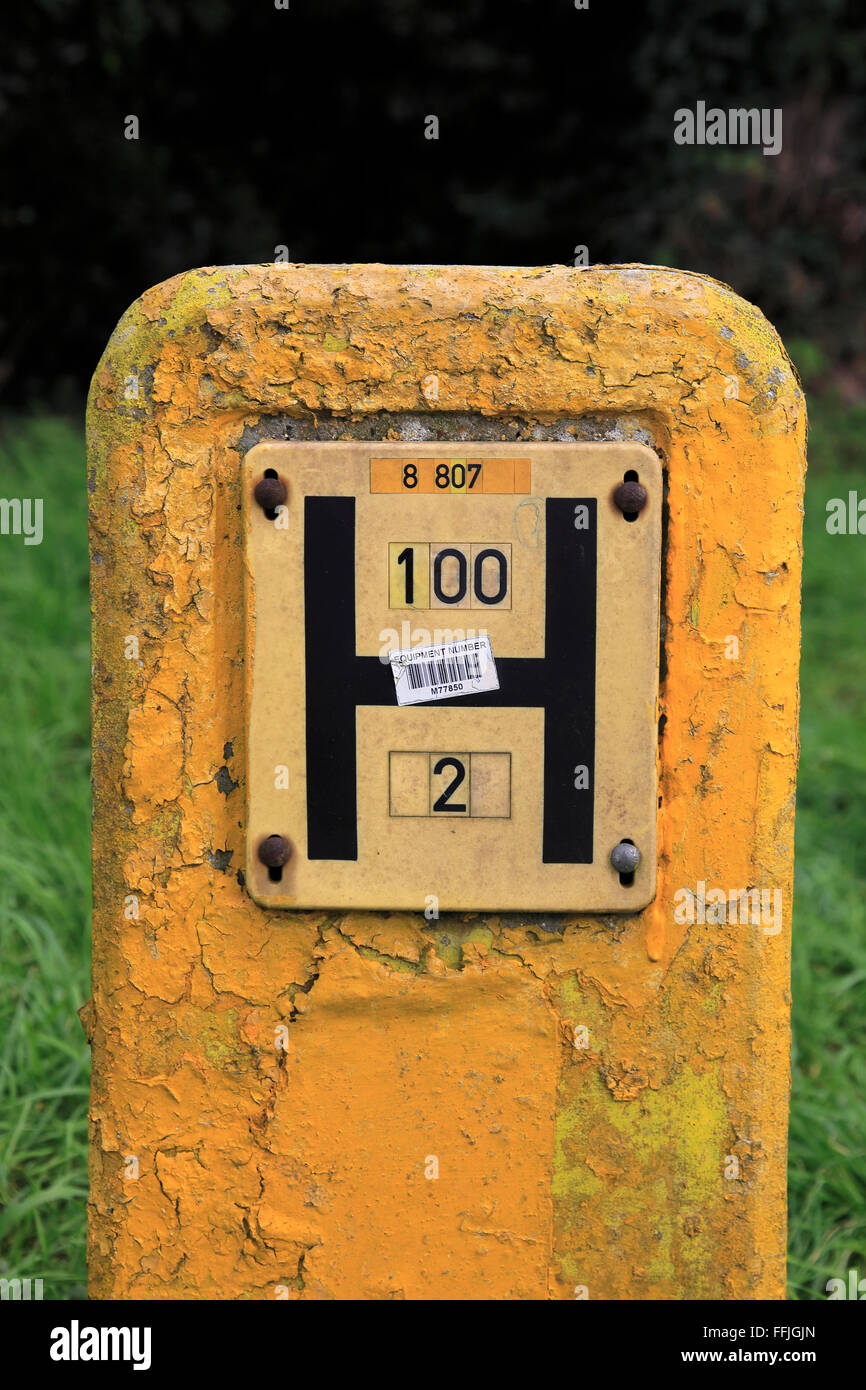 Lettera maiuscola H su giallo post che identifica la posizione dell'acqua idranti, Suffolk, Inghilterra, Regno Unito Foto Stock