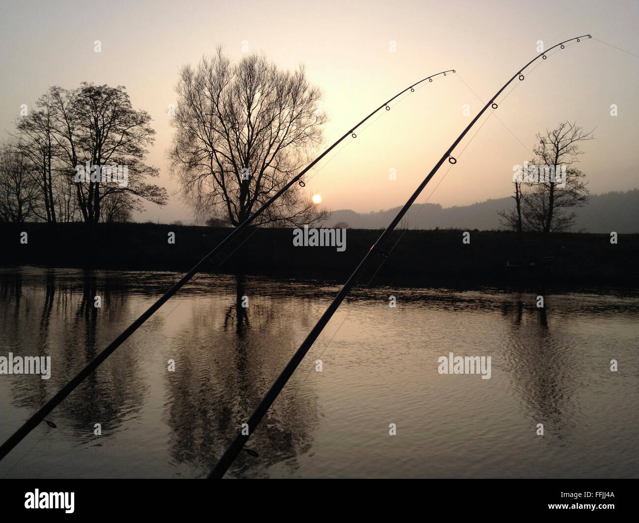 La pesca del barbo al tramonto sul fiume Wye a Warren Hay-on-Wye Powys Wales UK. La pesca ha una regola di cattura e rilascio di ritornare questi pesci selvatici al fiume conservare gli stock ittici per il futuro. Foto Stock