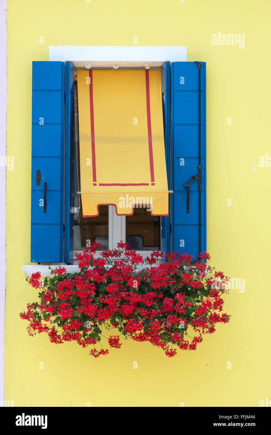 Una finestra di una casa dipinta di luce e una finestra di gerani rossi, in un piccolo villaggio di pescatori e un piccolo porto di Burano, una piccola isola, sette K. Foto Stock