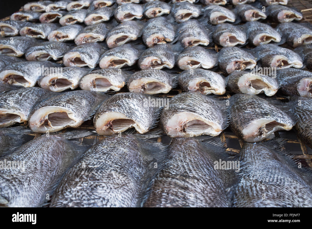 Pesci secchi di cibo locale al mercato aperto della Thailandia Foto Stock