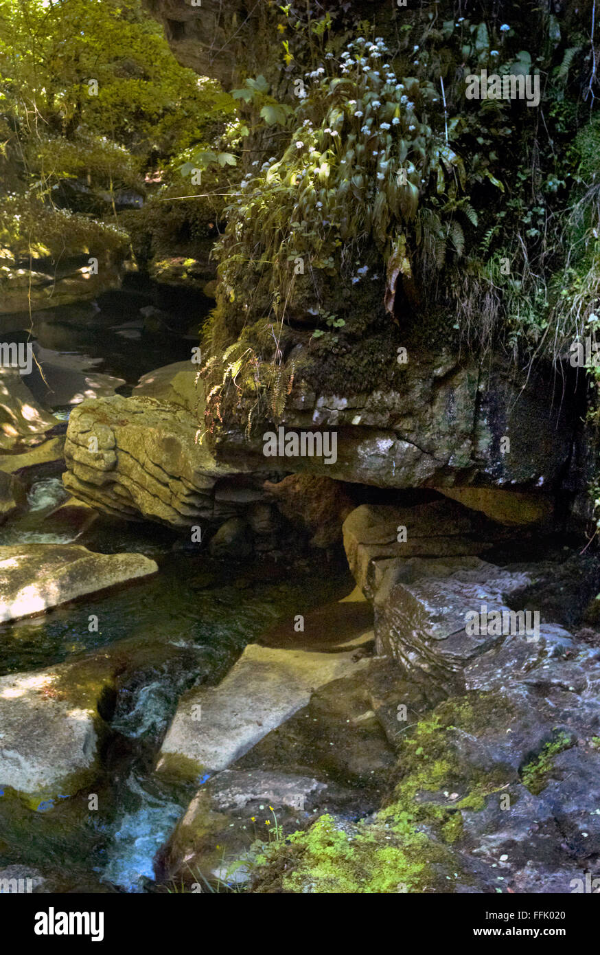Come Stean Gorge, Nidderdale, Yorkshire Foto Stock