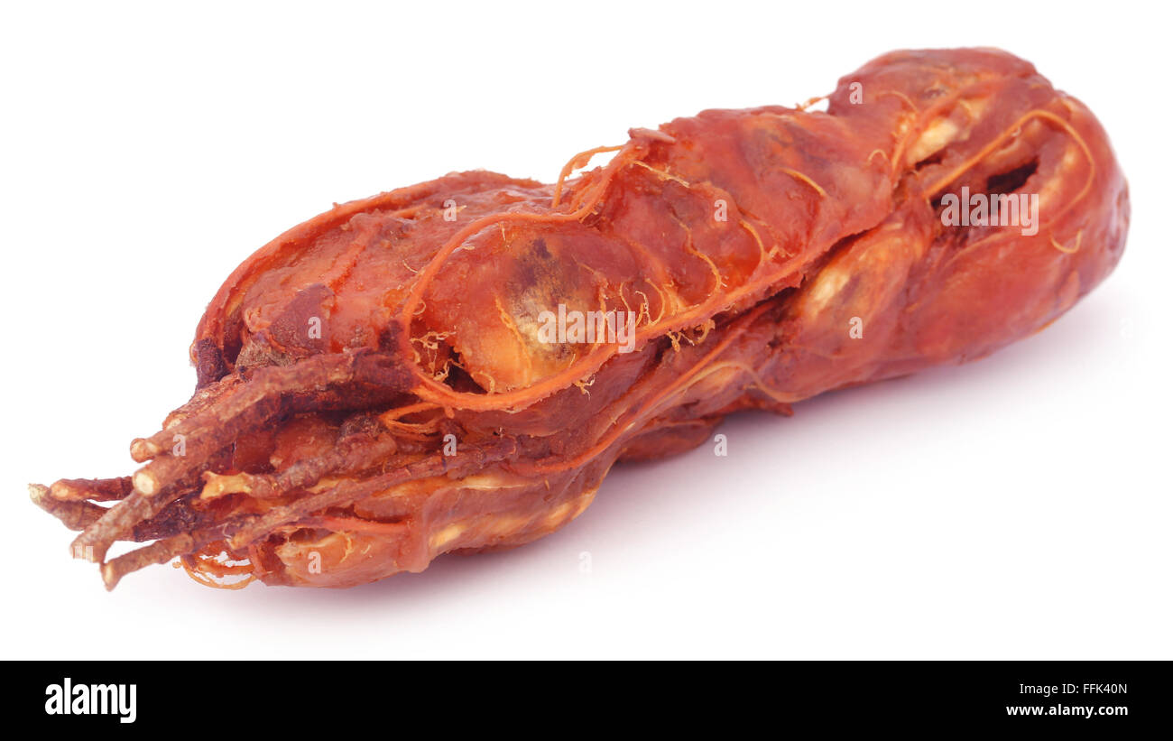 Tamarindi su sfondo bianco Foto Stock