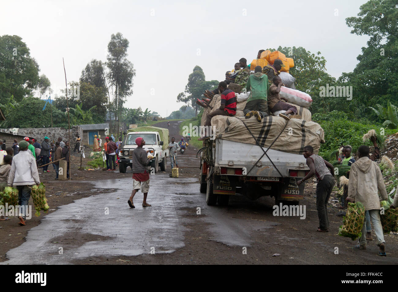 Il Parco nazionale di Virunga , sulla strada tra Goma e Rutshuru ,nel nord Kivu, nella Repubblica democratica del Congo, LA REPUBBLICA DEMOCRATICA DEL CONGO,l'Africa Centrale. Foto Stock