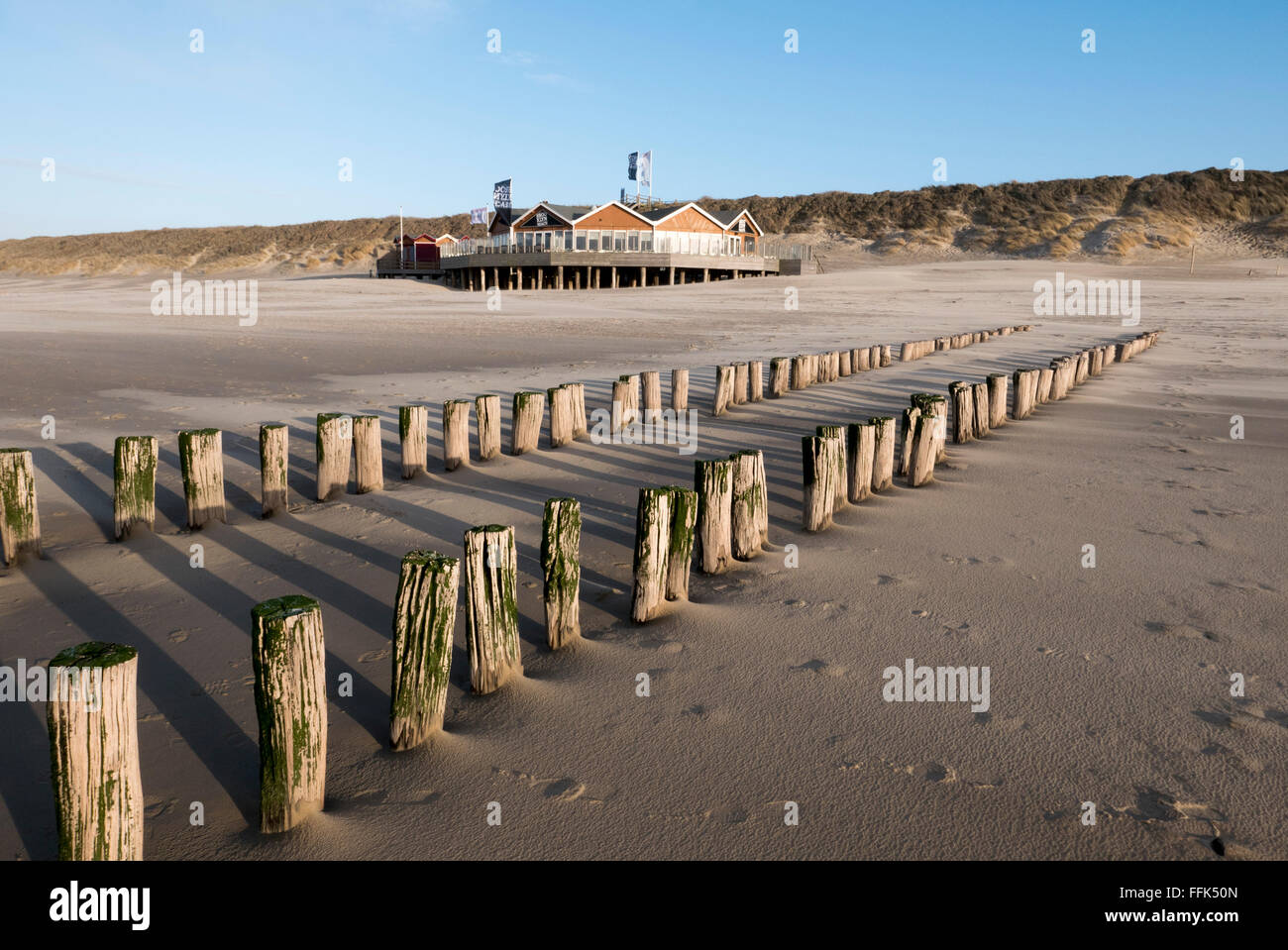 Strand, Buhne, Domburg, Nordsee-Küste, Provinz Seeland, Niederlande | Spiaggia, groyne, Domburg, costa del Mare del Nord, Zeeland, paesi Foto Stock