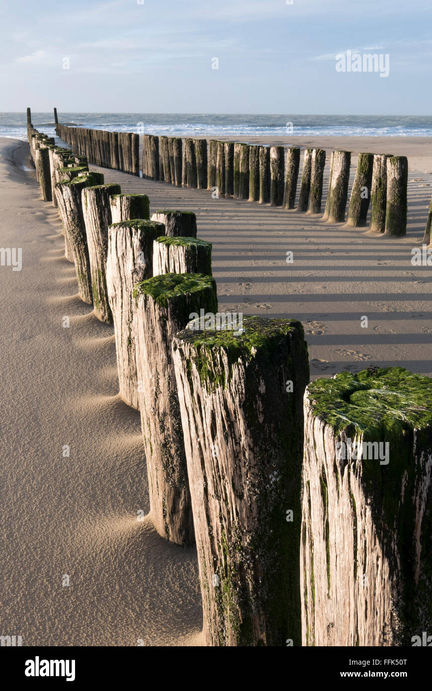 Strand, Buhne, Domburg, Nordsee-Küste, Provinz Seeland, Niederlande | Spiaggia, groyne, Domburg, costa del Mare del Nord, Zeeland, paesi Foto Stock