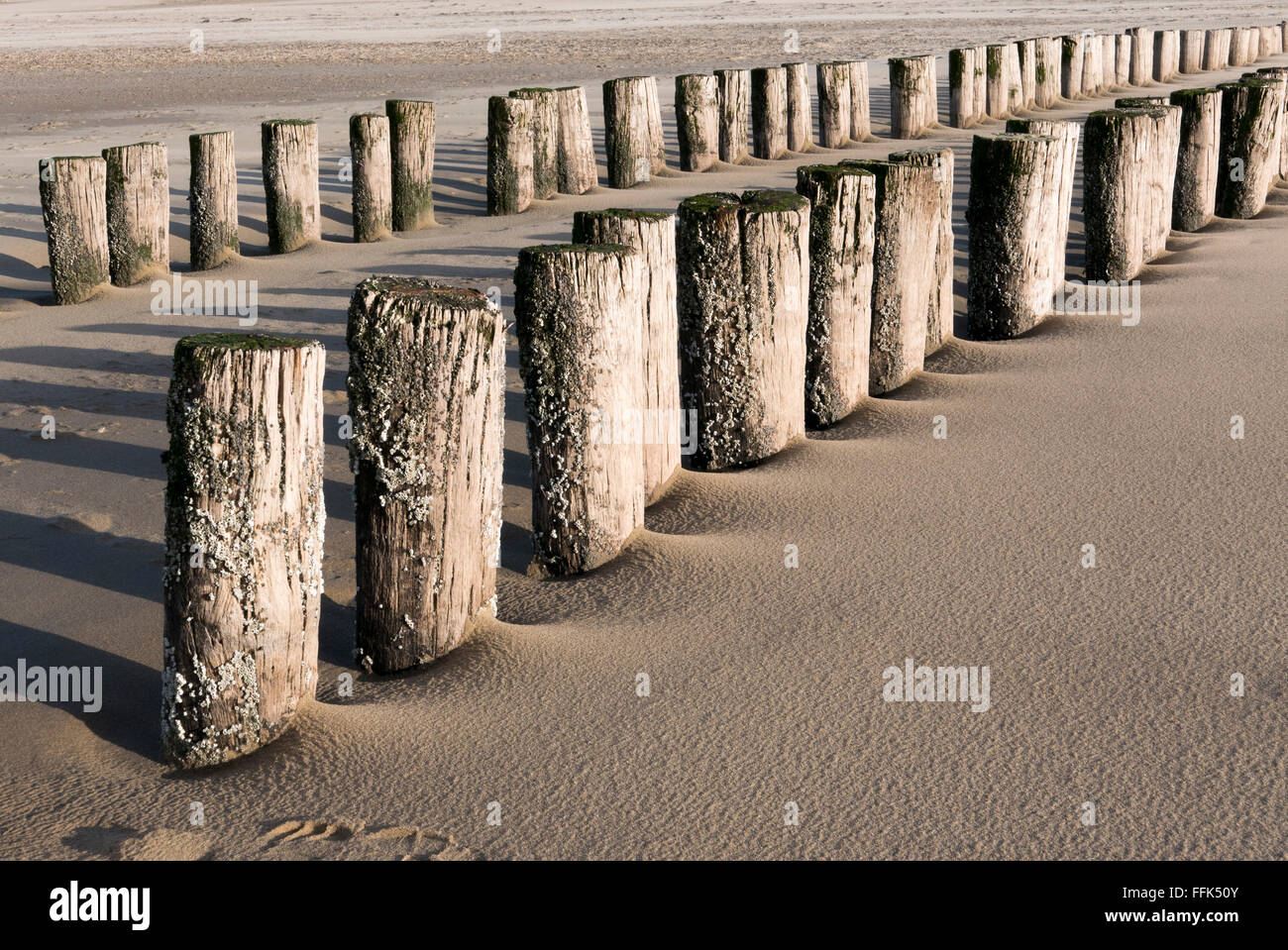 Strand, Buhne, Domburg, Nordsee-Küste, Provinz Seeland, Niederlande | Spiaggia, groyne, Domburg, costa del Mare del Nord, Zeeland, paesi Foto Stock