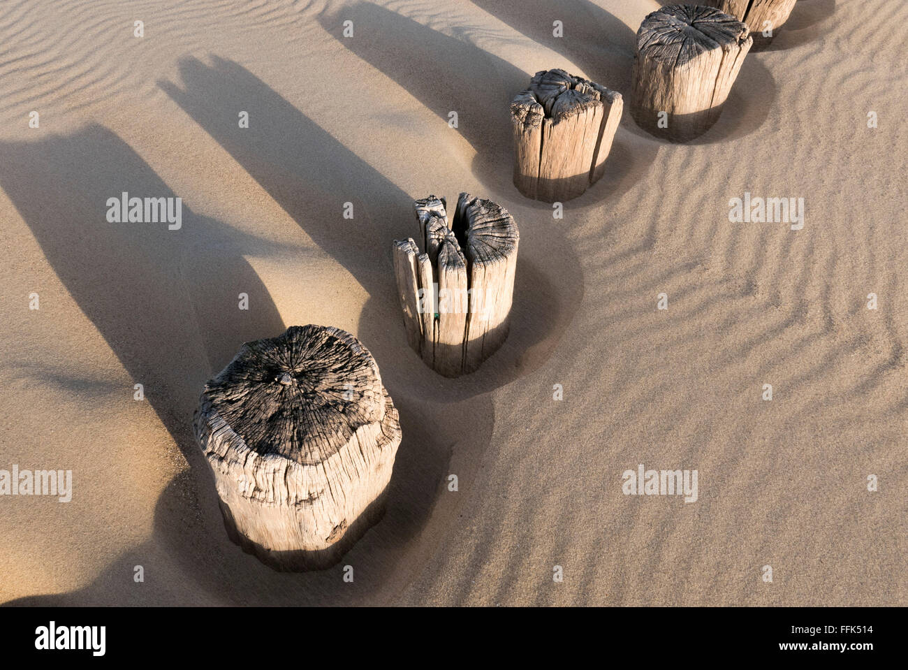 Strand, Buhne, Domburg, Nordsee-Küste, Provinz Seeland, Niederlande | Spiaggia, groyne, Domburg, costa del Mare del Nord, Zeeland, paesi Foto Stock