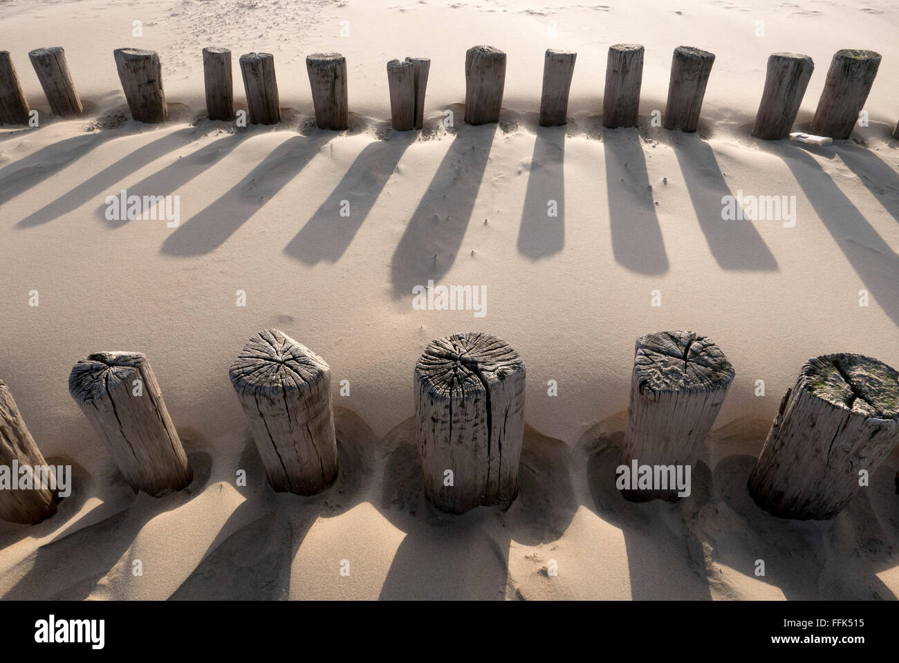 Strand, Buhne, Domburg, Nordsee-Küste, Provinz Seeland, Niederlande | Spiaggia, groyne, Domburg, costa del Mare del Nord, Zeeland, paesi Foto Stock