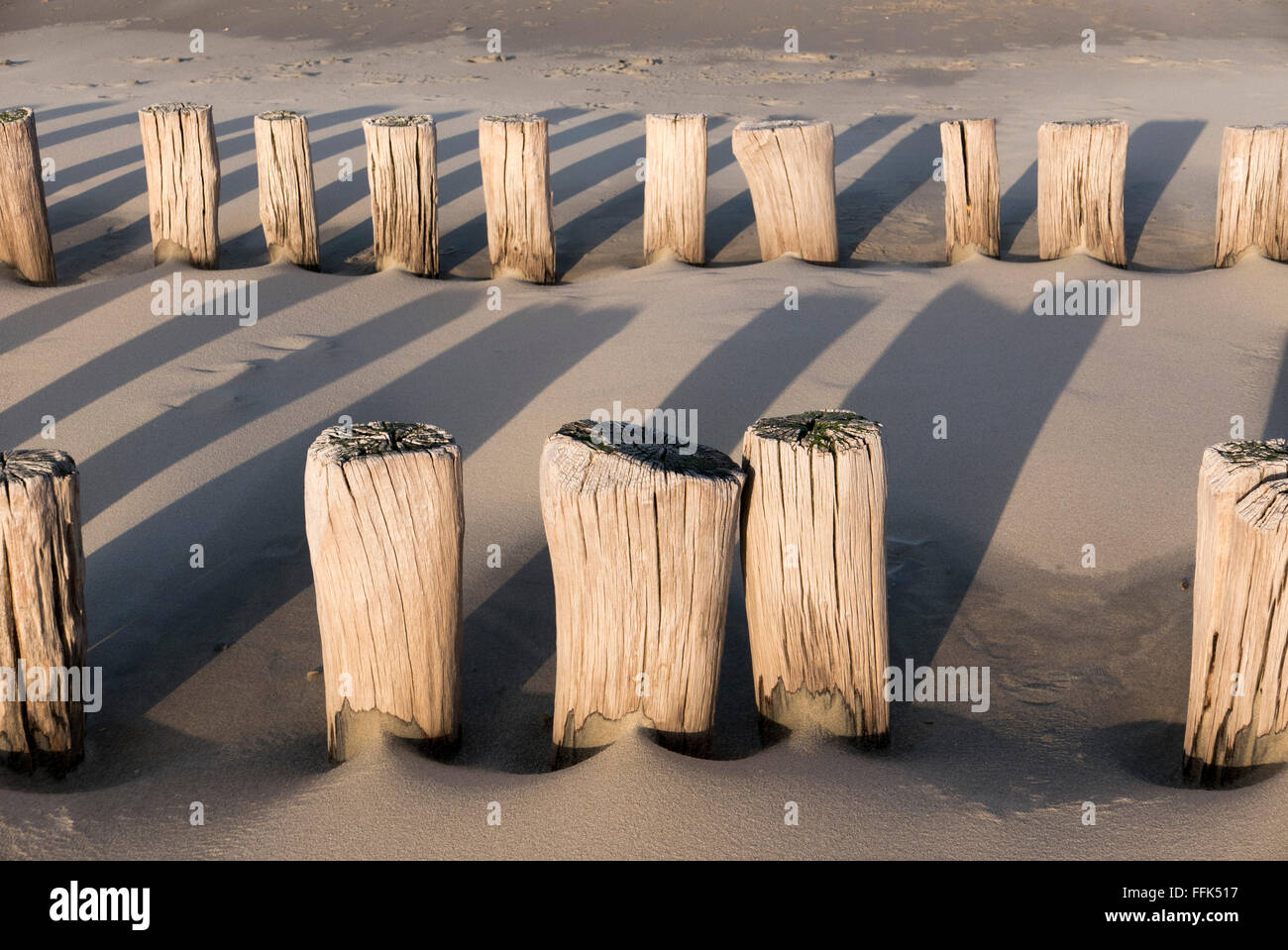 Strand, Buhne, Domburg, Nordsee-Küste, Provinz Seeland, Niederlande | Spiaggia, groyne, Domburg, costa del Mare del Nord, Zeeland, paesi Foto Stock