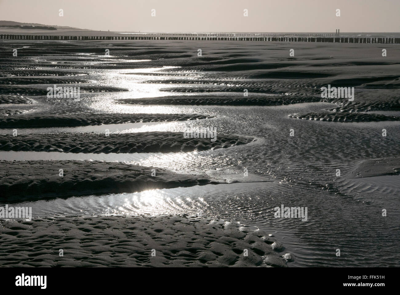 Strand, ebbe, Domburg, Nordsee-Küste, Provinz Seeland, Niederlande | Spiaggia, bassa marea, Domburg, costa del Mare del Nord, Zeeland, Netherl Foto Stock