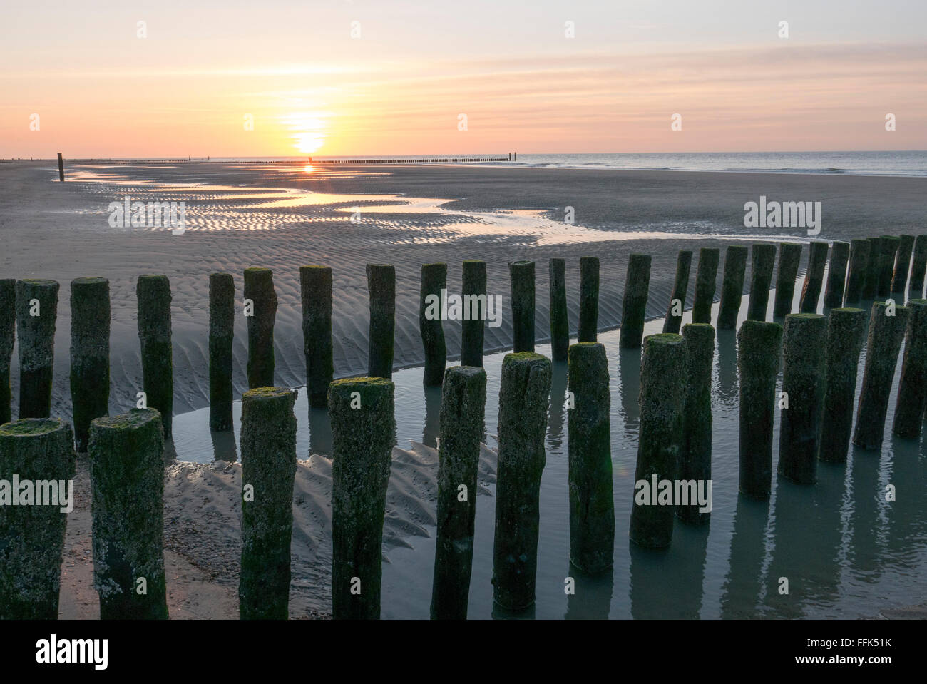 Strand, ebbe, Domburg, Nordsee-Küste, Provinz Seeland, Niederlande | Spiaggia, bassa marea, Domburg, costa del Mare del Nord, Zeeland, Netherl Foto Stock