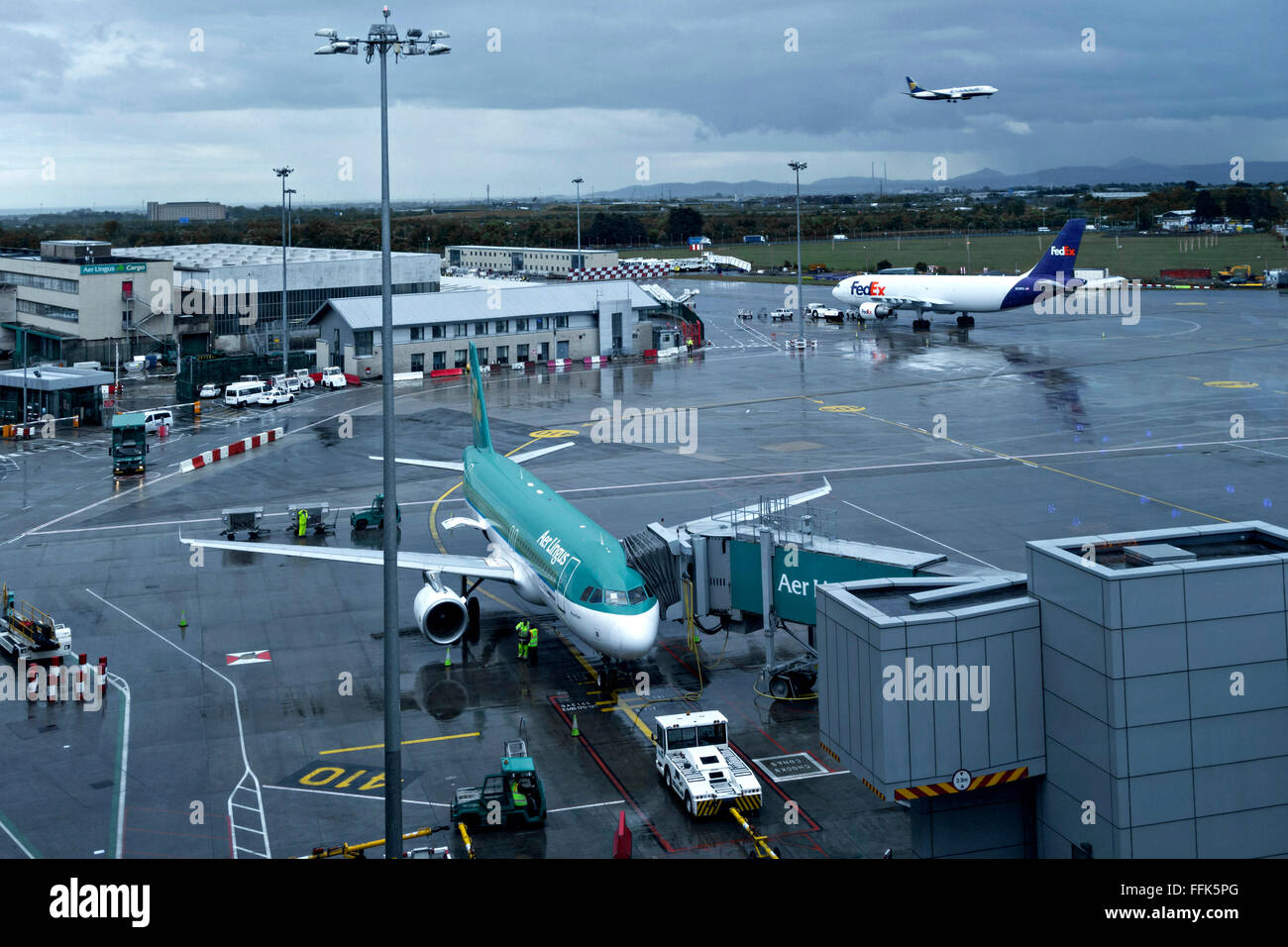 Aer Lingus aeromobili parcheggiati su asfalto presso l'aeroporto di Dublino, Repubblica di Irlanda, Europa. Foto Stock