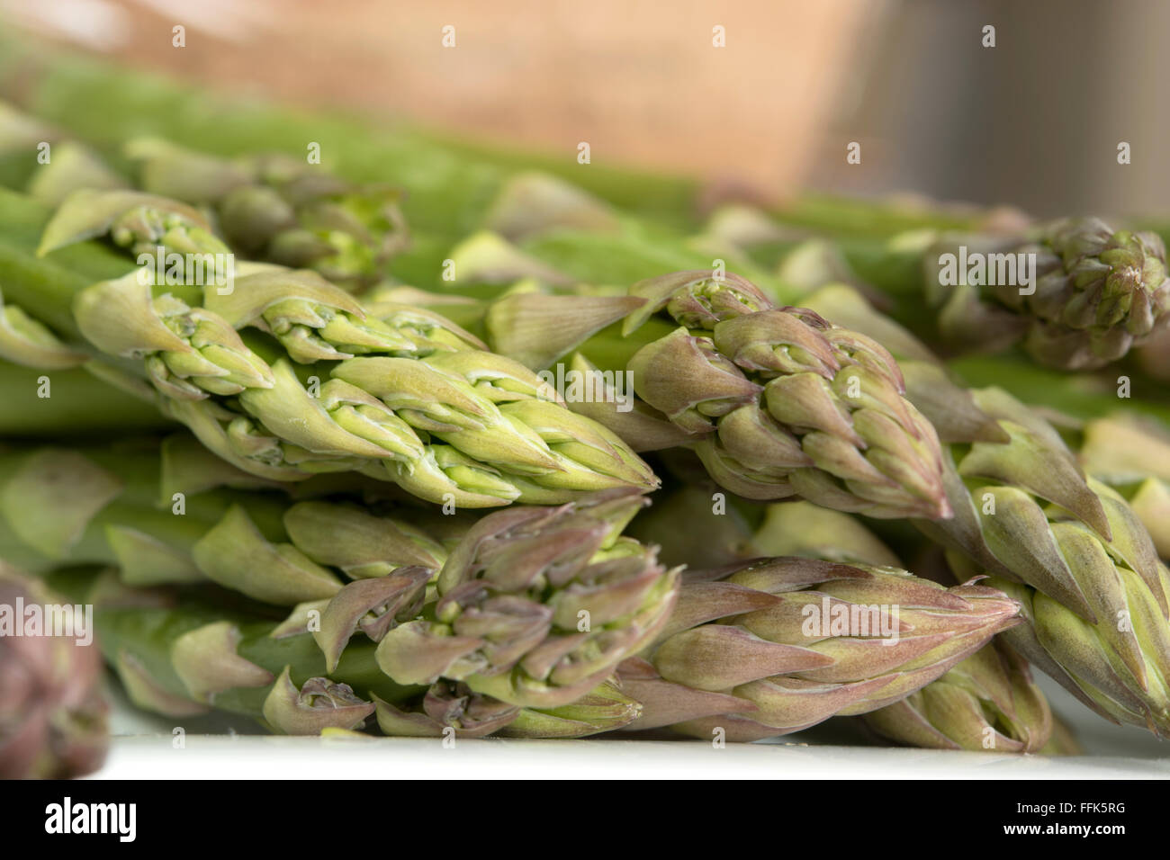 Gli asparagi spears close up sulla piastra bianca Foto Stock