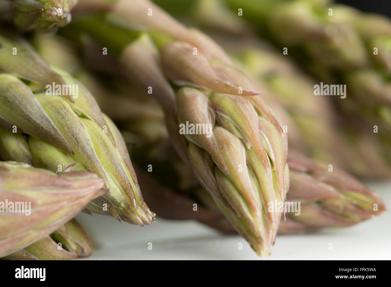 Gli asparagi spears close up sulla piastra bianca Foto Stock