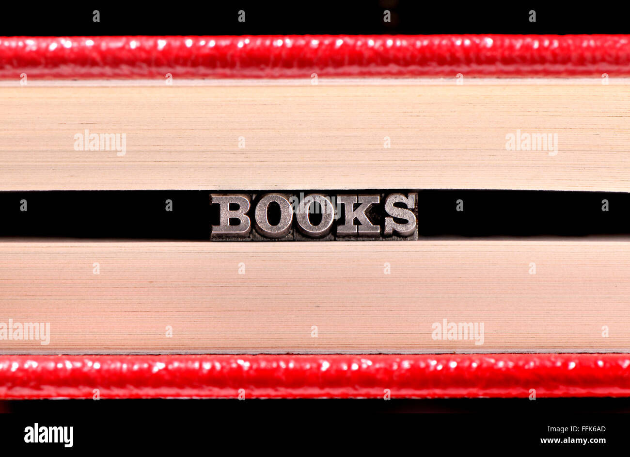 I caratteri di stampa in rilievo la compitazione dei libri nelle pagine di un libro Foto Stock