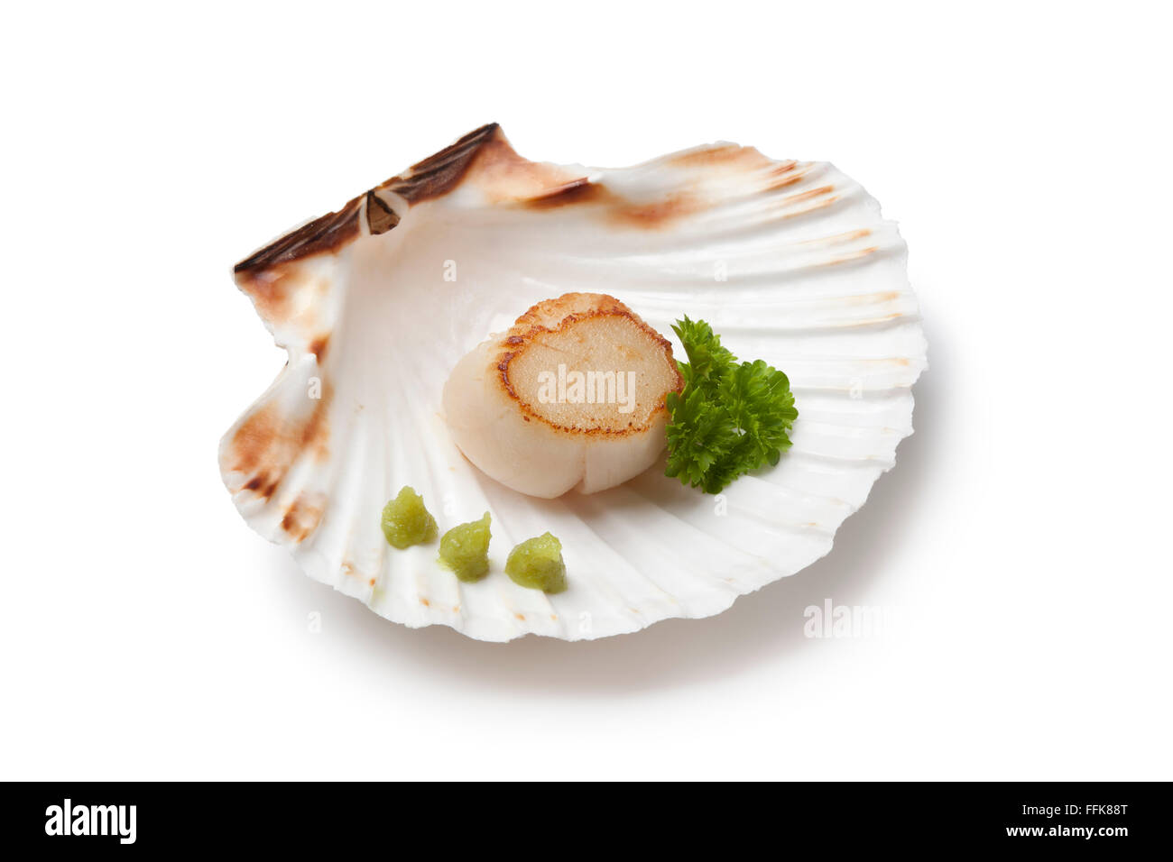 Scaloppa rosolata servita in un guscio con wasabi su sfondo bianco Foto Stock