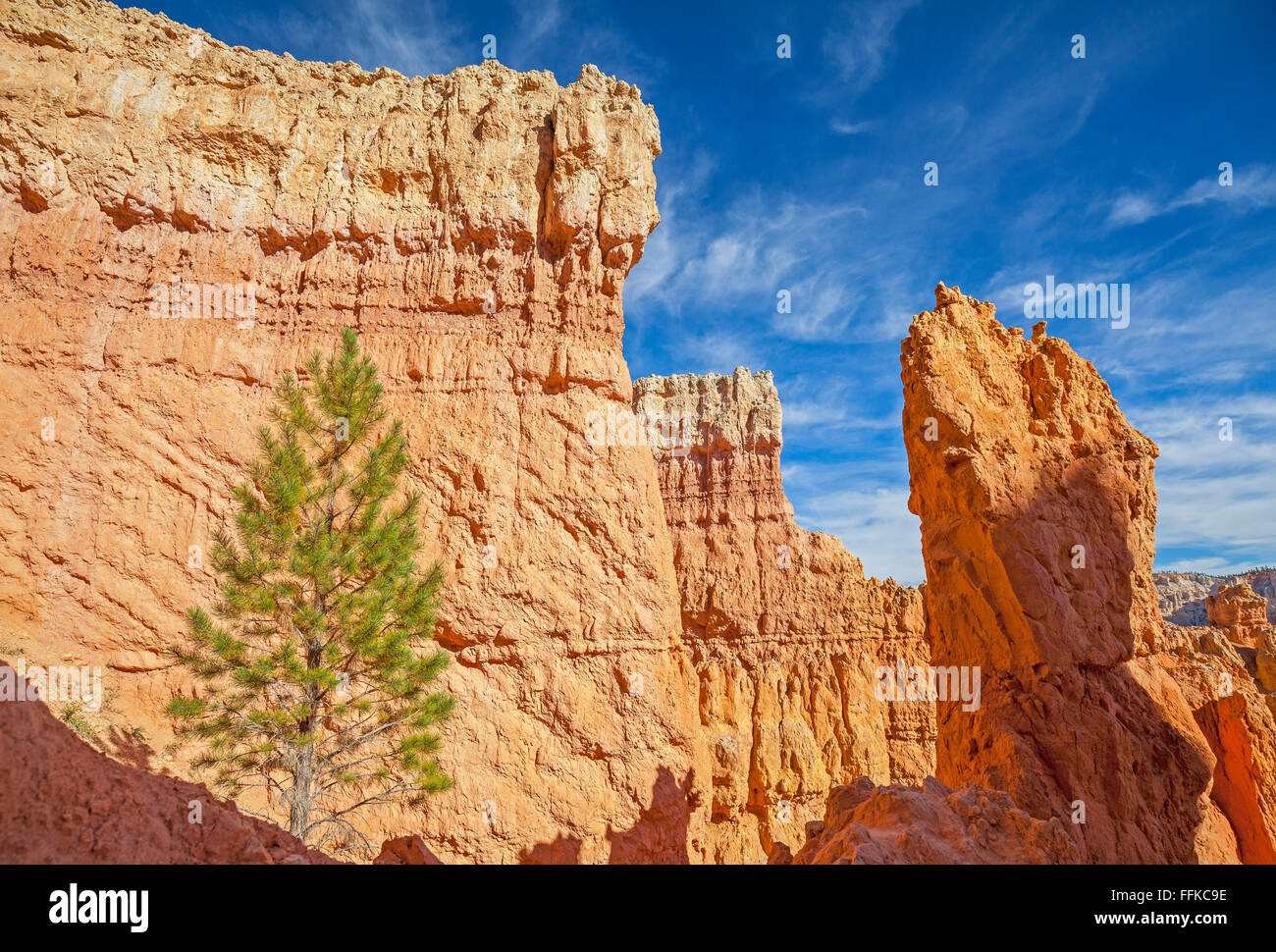 Paesaggio roccioso nel Parco Nazionale di Bryce Canyon, Utah, Stati Uniti d'America. Foto Stock