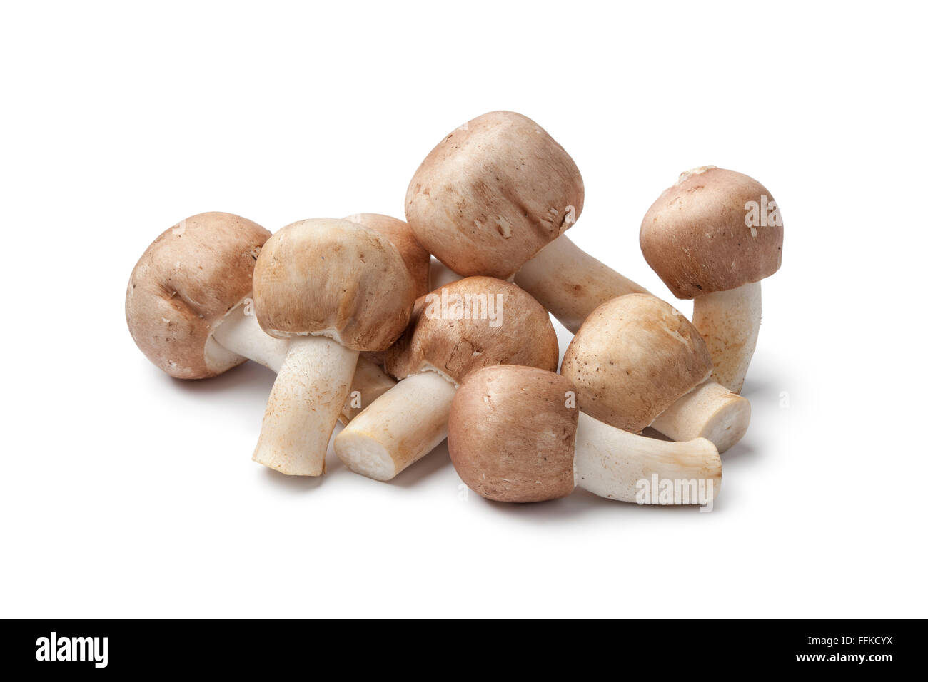 Mandorla fresca funghi su sfondo bianco Foto Stock