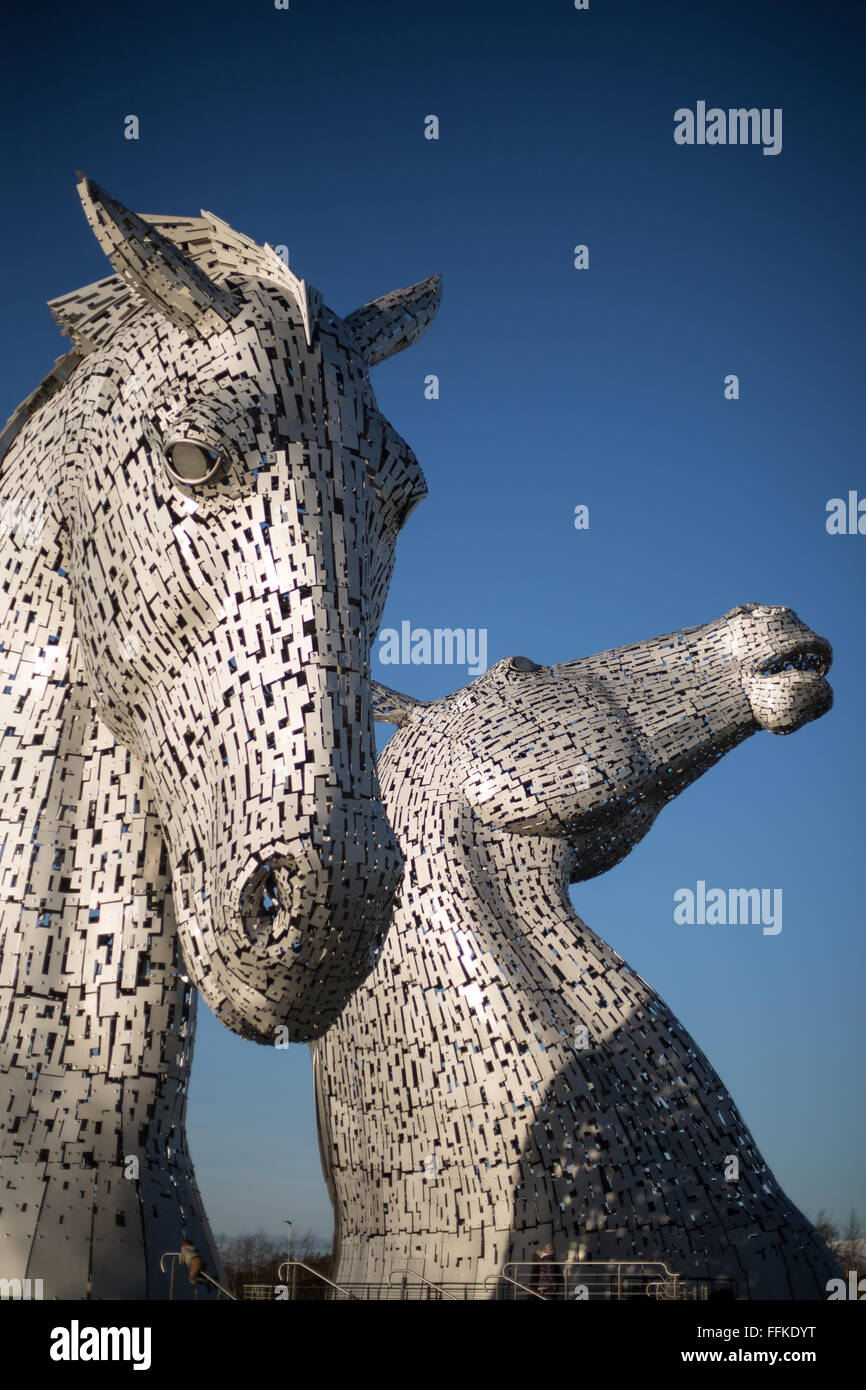 'L'Kelpies' scultura a cavallo dello scultore Andy Scott, in Helix Park, a Falkirk, Scozia. Foto Stock