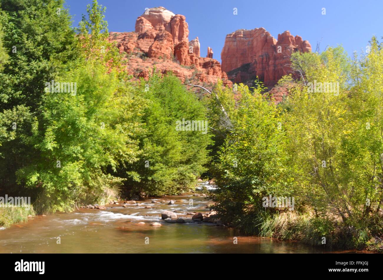 Oak Creek e Cattedrale Rock, Sedona, in Arizona Foto Stock
