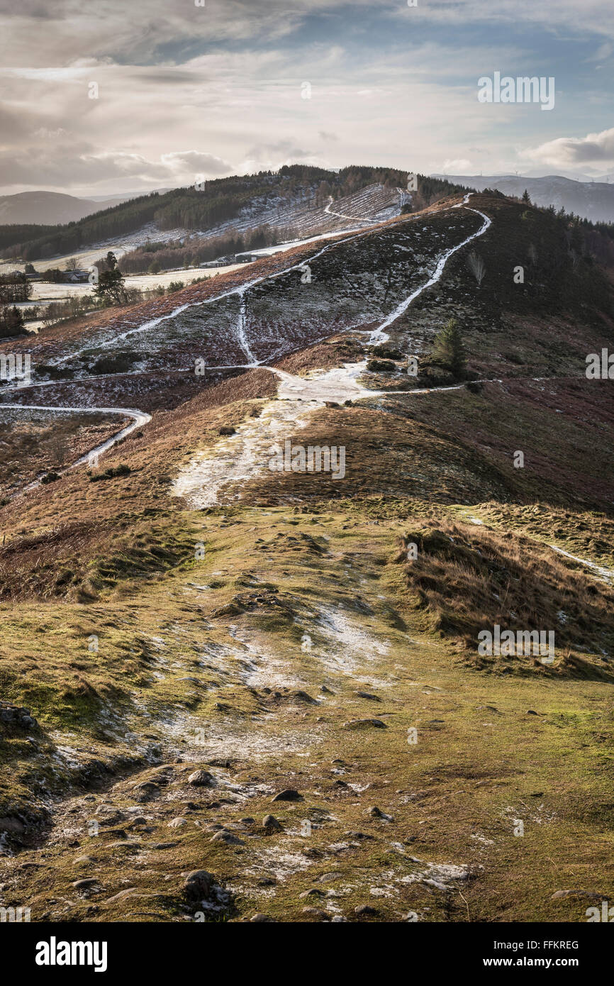 Cat back del crinale da Knockfarrel hill a Strathpeffer, Scozia. Foto Stock