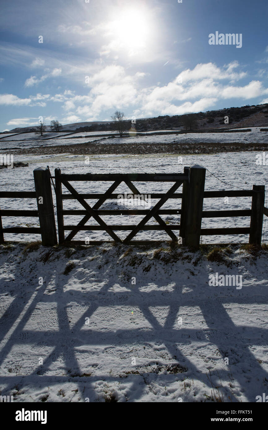 A cinque bar porta in Teesdale superiore nella Contea di Durham, Inghilterra. Il gate mantiene un agricoltore del campo chiuso. Foto Stock