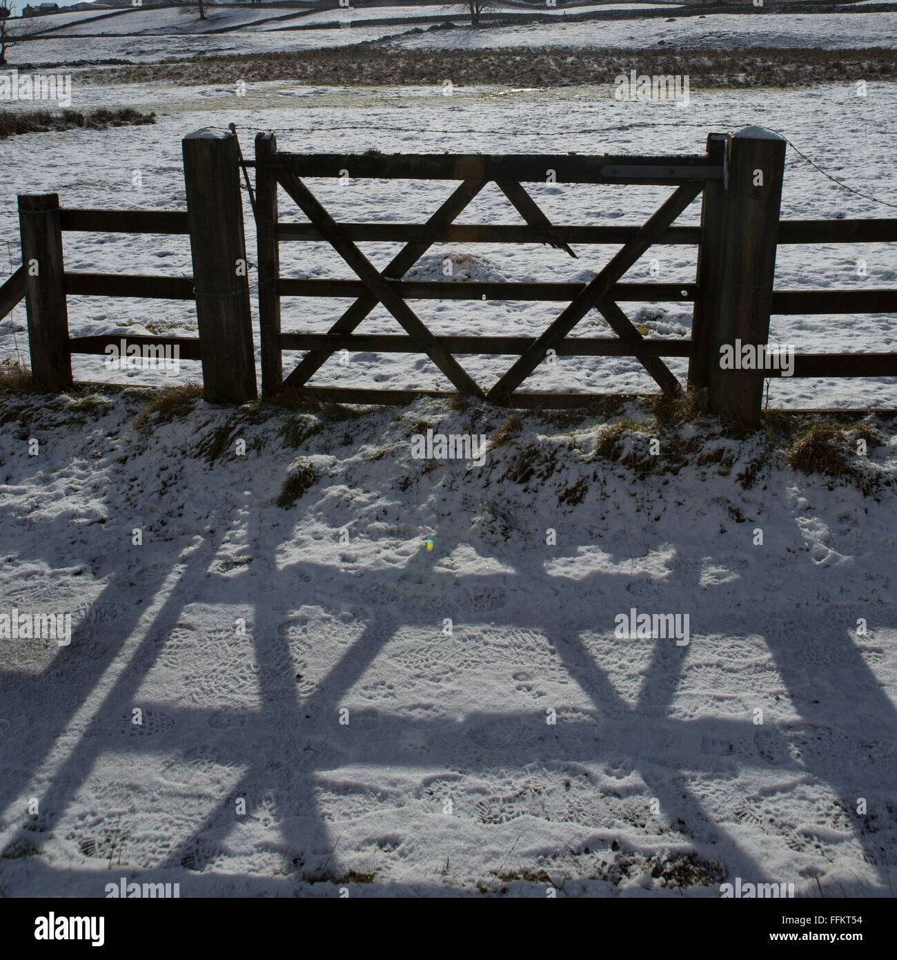 A cinque bar porta in Teesdale superiore nella Contea di Durham, Inghilterra. Il gate mantiene un agricoltore del campo chiuso. Foto Stock