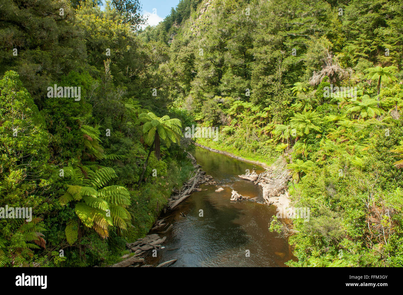 Fiume Tangaraku, mondo dimenticato autostrada, Taranaki, Nuova Zelanda Foto Stock