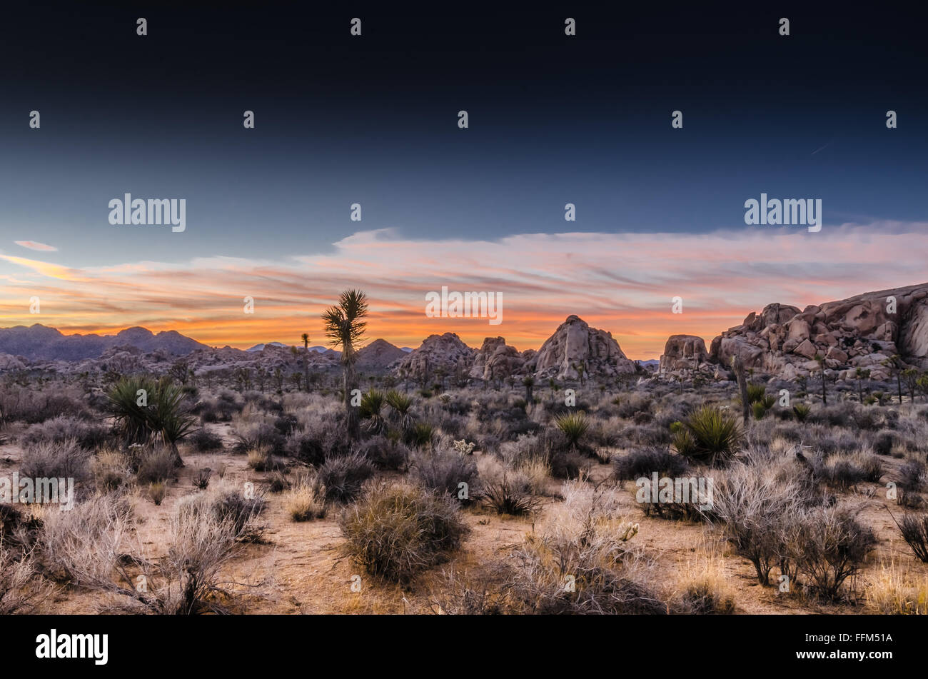 La scena del deserto al tramonto durante il crepuscolo civile Foto Stock