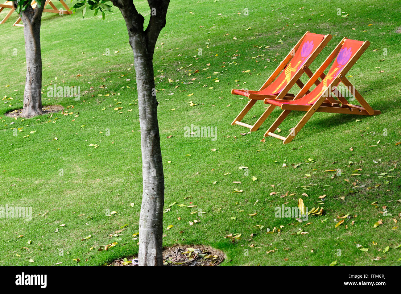Sedie a sdraio sulla collina di erba Foto Stock