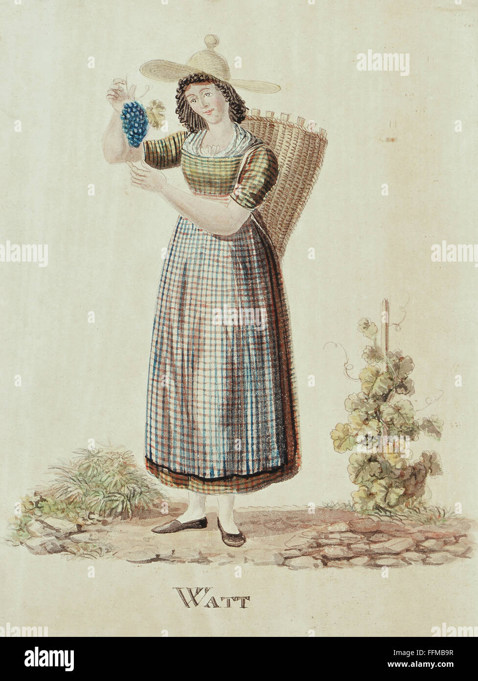 Agricoltura,viticoltura,viticoltura,viticoltura,vendemmia,vendemmia,vendemmia,acquerello,Svizzera sudoccidentale,metà XIX secolo,18 x 14,5 cm,collezione privata,Svizzera,XIX secolo,pittura di belle arti,Svizzera,viticoltura,vendemmia,vendemmia,vendemmia,vendemmia,occupazione,lunghezza,vestita,vestita,vestita,vestita,viteria,non,vendemmiatrice,viteria,barcini,viteria,non-viteria,viteria,viteria,non disponibile,viteria,barella,viteria,viteria,viteria,gremiera,gremeria,gremiera,grembielle,non-viteria,grembielle,non-viteria,viteria,non-viteria, Foto Stock