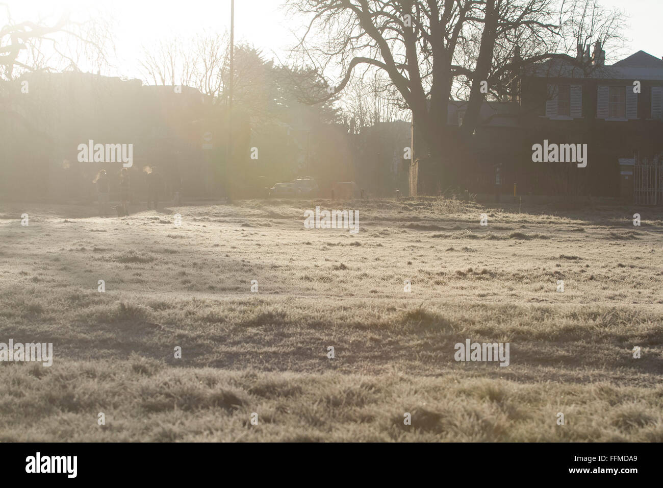 Il torneo di Wimbledon, Londra, Regno Unito. Il 16 febbraio, 2016. Meteo REGNO UNITO: la gente a piedi su Wimbledon Common coperto di brina in una fredda mattina con temperature meteo scenda a zero per i prossimi giorni nella capitale Credito: amer ghazzal/Alamy Live News Foto Stock